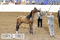 10r12_1963 thumbnail