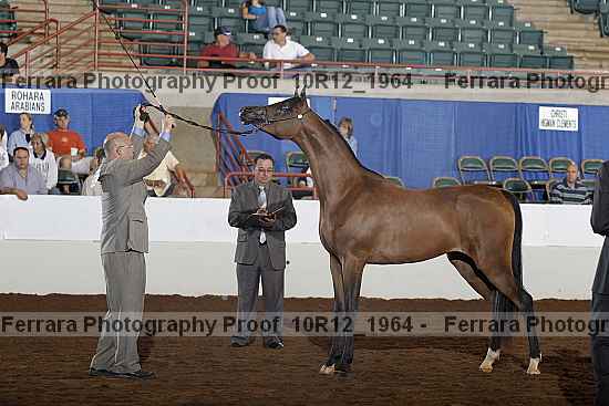 Proof Number 10r12_1964