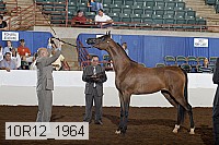 10r12_1964 thumbnail