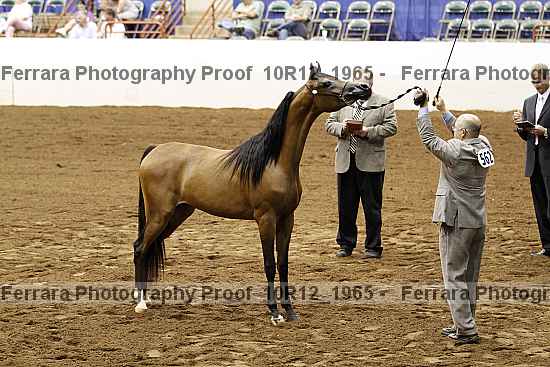 Proof Number 10r12_1965