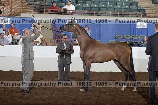 Proof Number 10r12_1966
