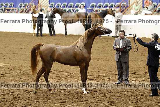 Proof Number 10r12_1975
