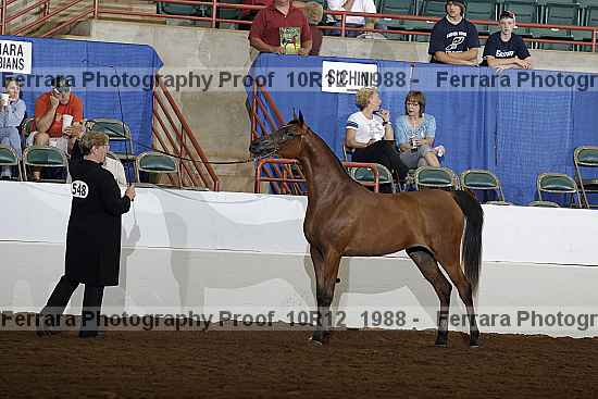 Proof Number 10r12_1988