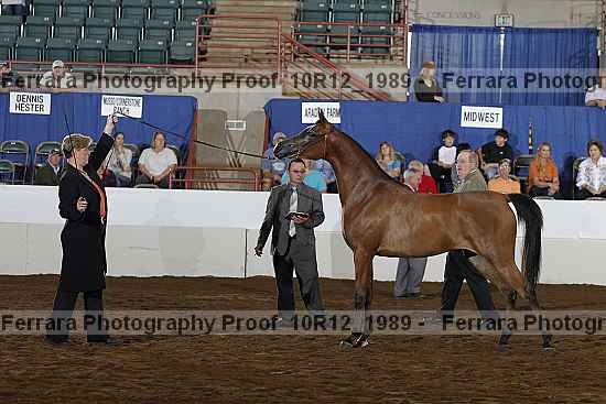 Proof Number 10r12_1989