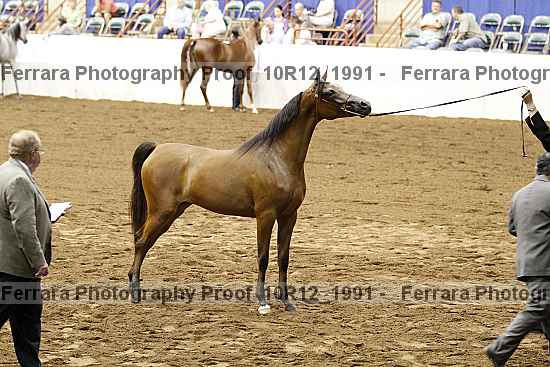 Proof Number 10r12_1991
