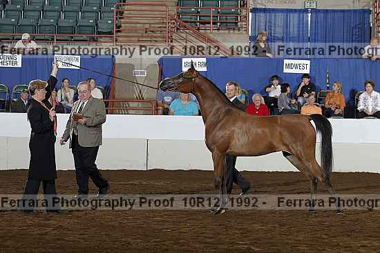 Proof Number 10r12_1992