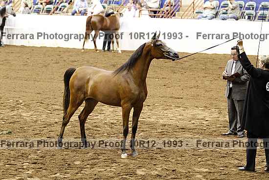 Proof Number 10r12_1993