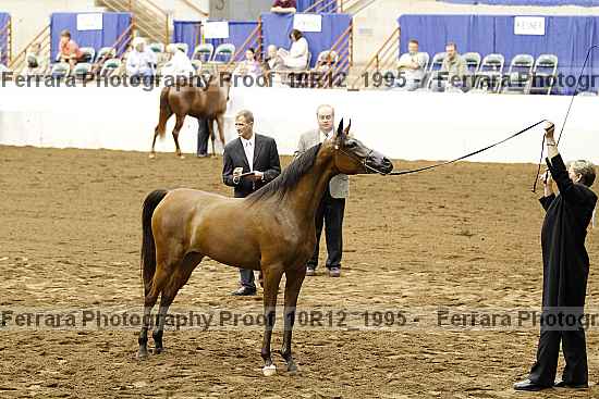 Proof Number 10r12_1995