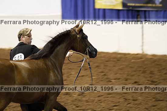 Proof Number 10r12_1996