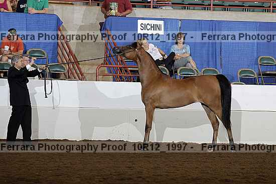 Proof Number 10r12_1997