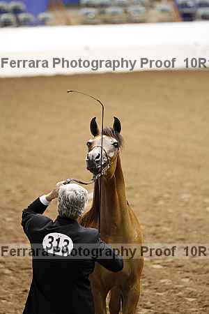 Proof Number 10r12_1999