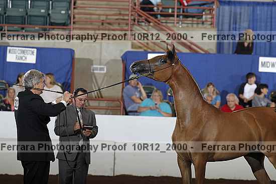 Proof Number 10r12_2000