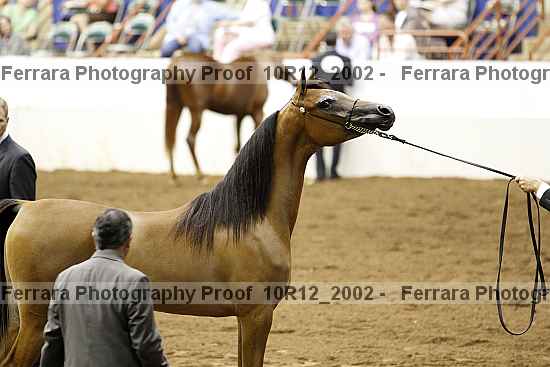 Proof Number 10r12_2002