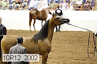 10r12_2002 thumbnail