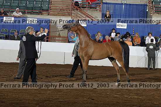 Proof Number 10r12_2003
