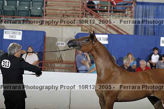 Proof Number 10r12_2005