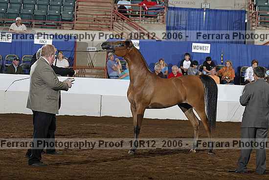 Proof Number 10r12_2006