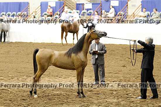 Proof Number 10r12_2007