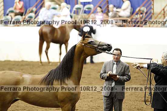 Proof Number 10r12_2008