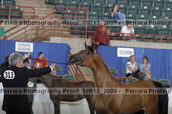 Proof Number 10r12_2009
