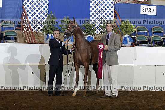 Proof Number 10r12_2011