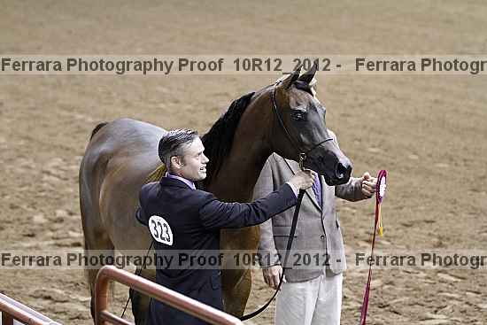 Proof Number 10r12_2012