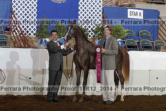 Proof Number 10r12_2014