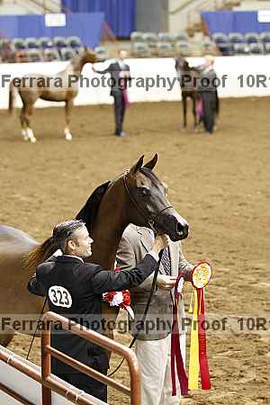 Proof Number 10r12_2021