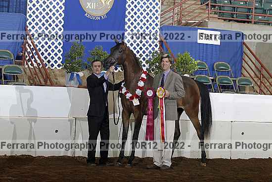 Proof Number 10r12_2022