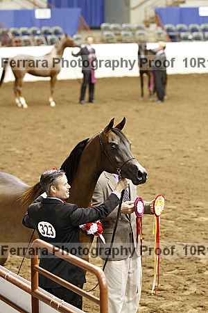 Proof Number 10r12_2023