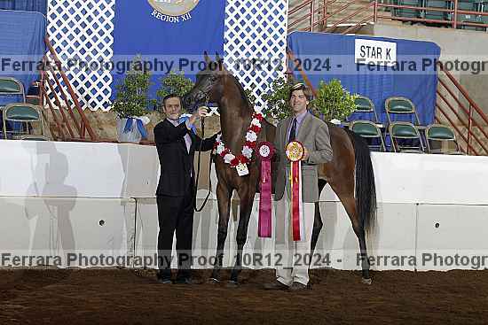 Proof Number 10r12_2024