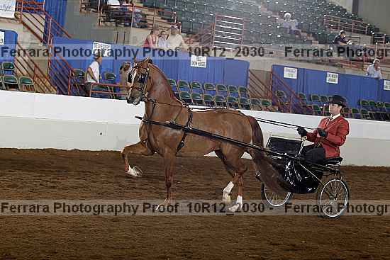 Proof Number 10r12_2030