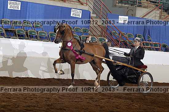 Proof Number 10r12_2043