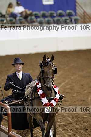 Proof Number 10r12_2049