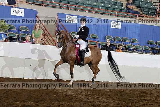 Proof Number 10r12_2116