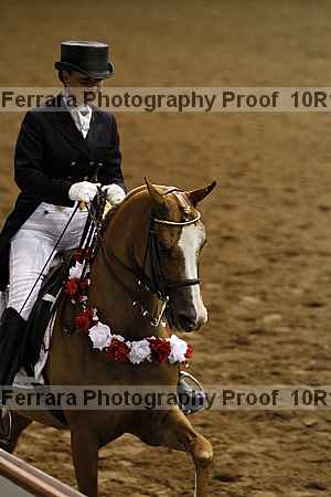 Proof Number 10r12_2135