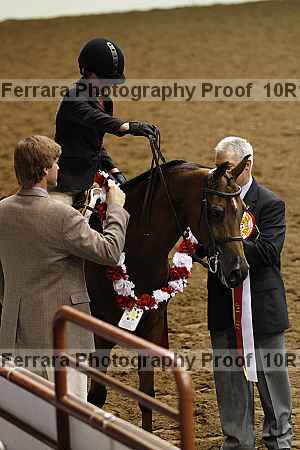 Proof Number 10r12_2178