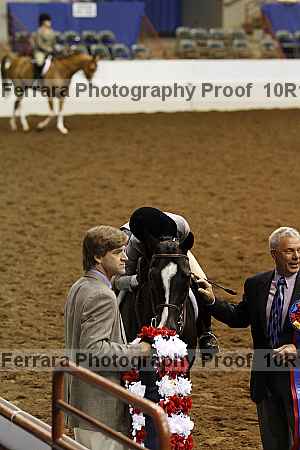 Proof Number 10r12_2186