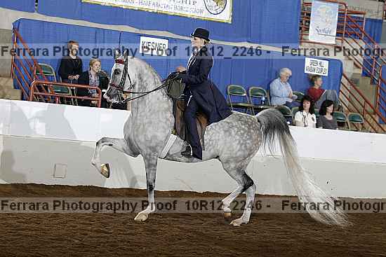 Proof Number 10r12_2246