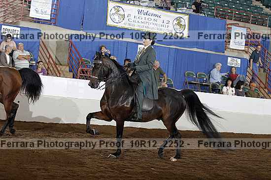 Proof Number 10r12_2252