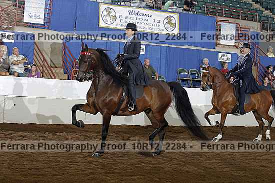 Proof Number 10r12_2284