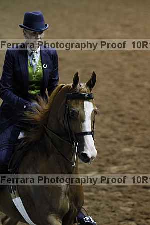 Proof Number 10r12_2325