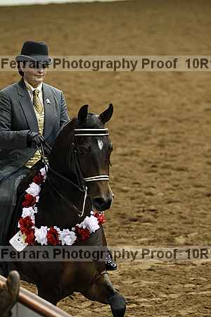 Proof Number 10r12_2332