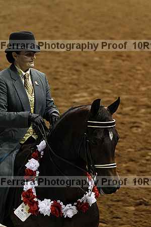 Proof Number 10r12_2333