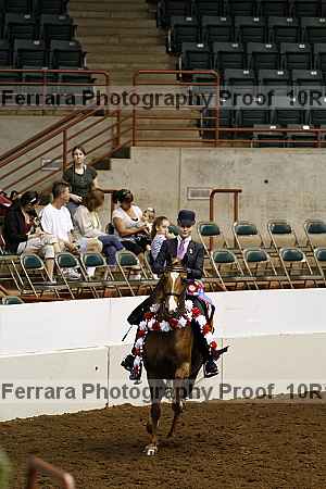 Proof Number 10r12_2334