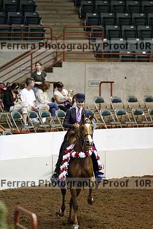 Proof Number 10r12_2335