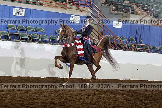 Proof Number 10r12_2336