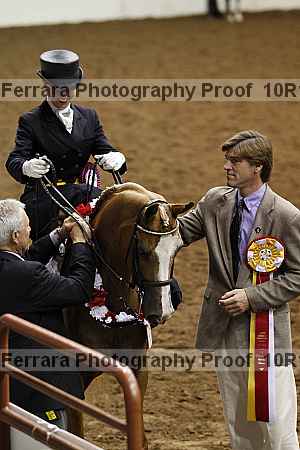 Proof Number 10r12_2376