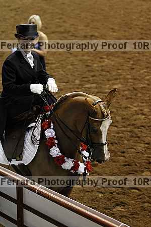 Proof Number 10r12_2381