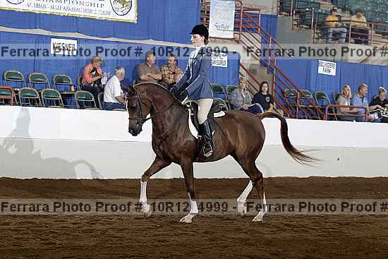 Proof Number 10r12_4999